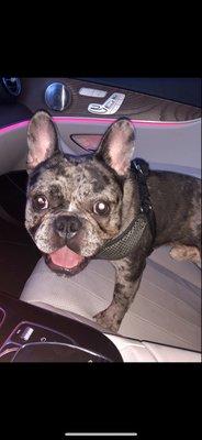 Photo of Riley P.
