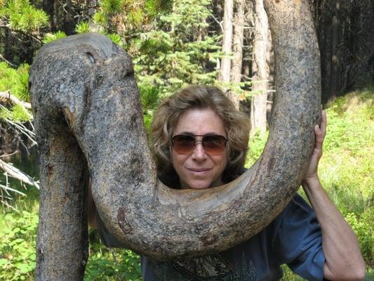 Photo of Lanie A.