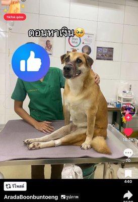 photo of Jirathananart Felix K.