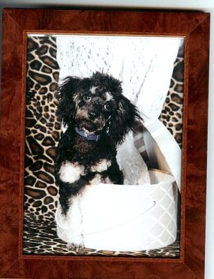 photo of Veronica F.