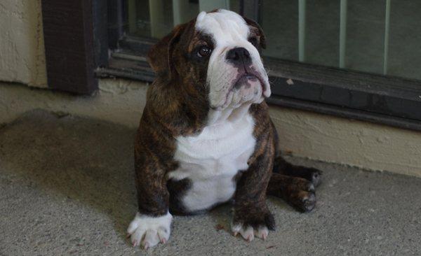 photo of Kristina D.