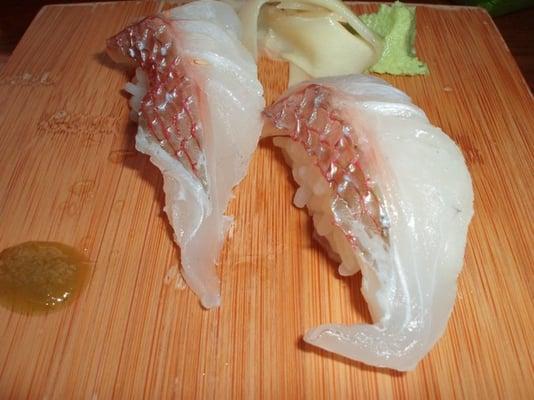 photo of Machiruda Y.