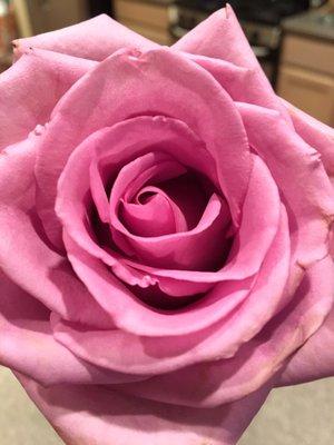 Photo of Caroline J.