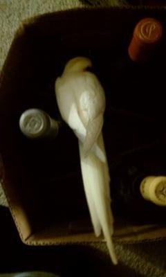 photo of Stephanie T.