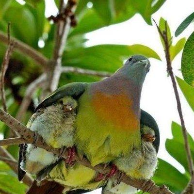 photo of Carolynn F.