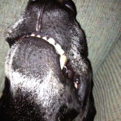 photo of Stanford S.