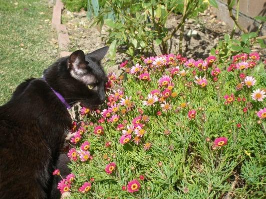 Photo of Wednesday B.