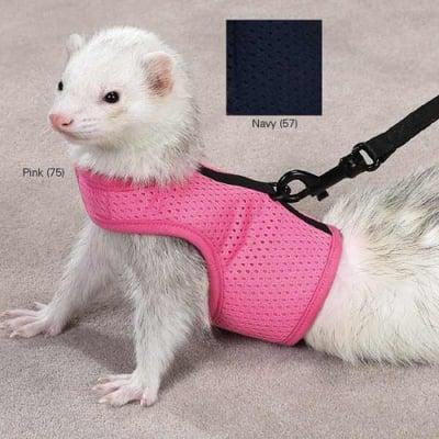 Photo of Xtina G.