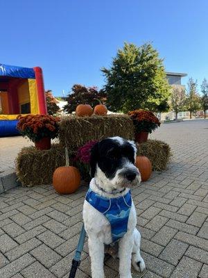 photo of Boston Tasting D.