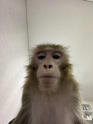 photo of Jermaine M.