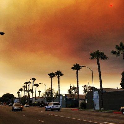 photo of Francisco J Q.