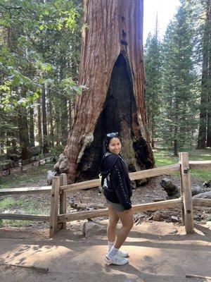 Photo of Karina L.