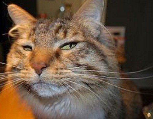 Photo of Jonesy S.