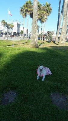 Photo of Angie M.