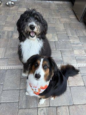 photo of Elisabeth H.