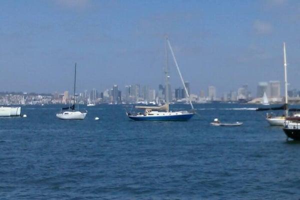 photo of Patricia G.