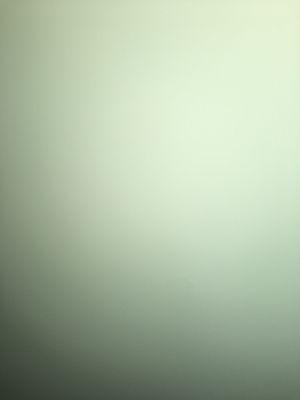 Photo of Cackleking M.