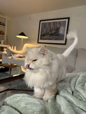 photo of Amanda Leigh R.