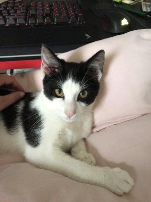 Photo of Marcelina E.