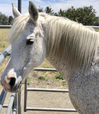 photo of misspottsticker p.