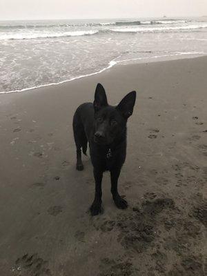 photo of Stephanie C.