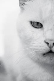 Photo of Chiris M.