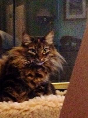 photo of DaisyMae M.