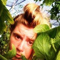 Photo of Celery N.