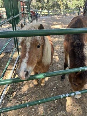 photo of Samantha K.