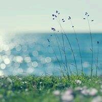 photo of Adrienne C.