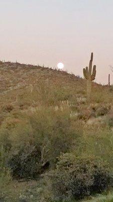 photo of Firedog Productions R.