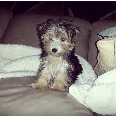 photo of Christel L.