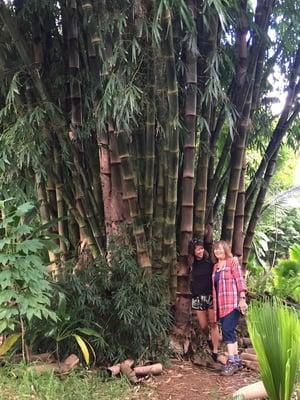 photo of Christine L.