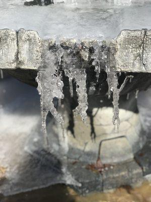 Photo of Carletha W.