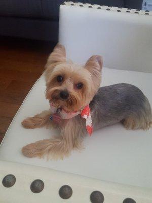 Photo of Liz F.