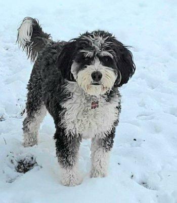 photo of Adrienne F.