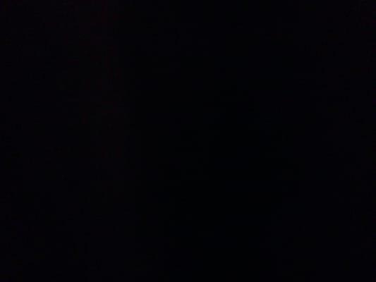 Photo of Liz G.
