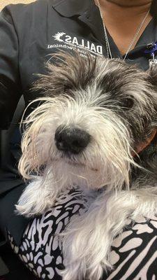 Photo of Sabrinna D.