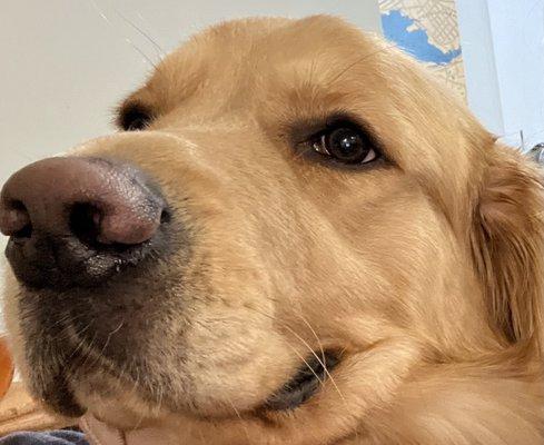 photo of Salvatore C.