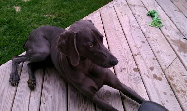 photo of Zenfrayer Z.