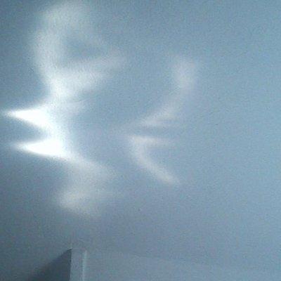 photo of Meridith S.