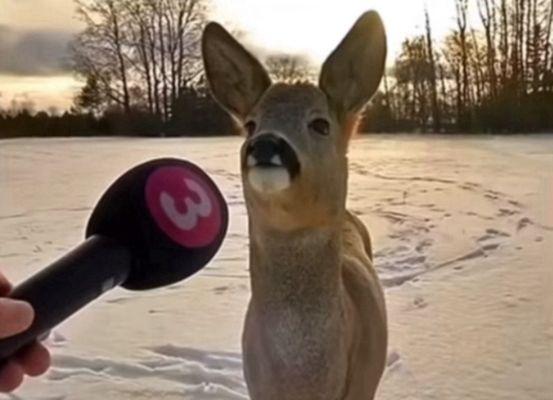 photo of Maria Arteaga A.