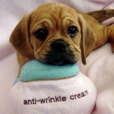 photo of True Stories Only K.