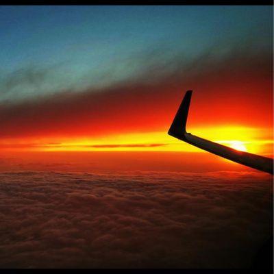 photo of Michelle J.