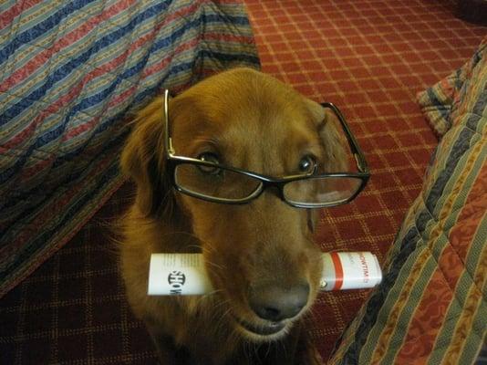 photo of Stephanie C.