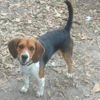 Photo of Bama B.