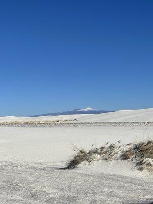 Photo of Stephanie A.