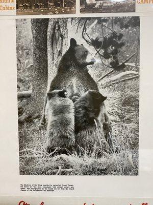 photo of Marshall M.