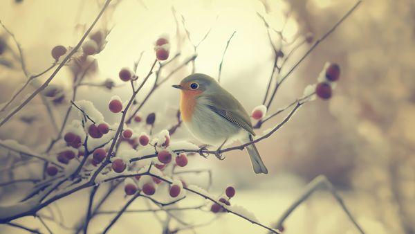 photo of Elizabeth T.