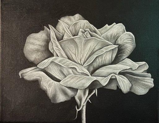 photo of Tynoshia R.